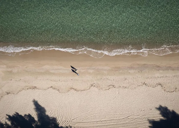 Canvas By Mitsis Alexander The Great