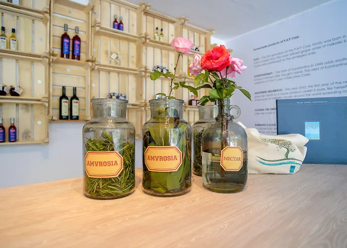 Canvas By Mitsis Alexander The Great