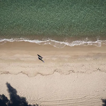 Mitsis Alexander The Great