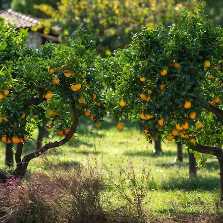 Mitsis Alexander The Great Szálloda 4*