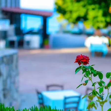 Hotel Canvas By Mitsis Alexander The Great