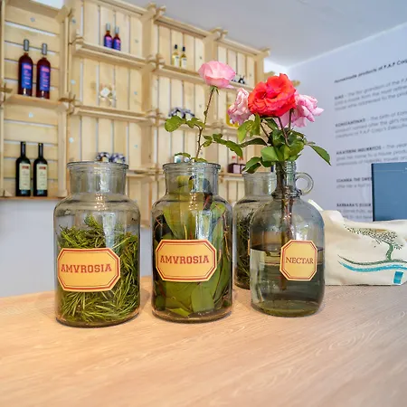 Mitsis Alexander The Great