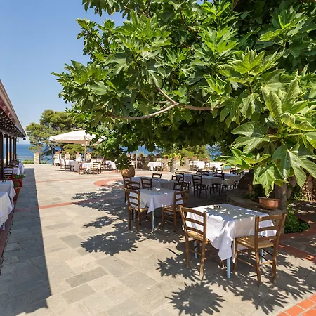 Canvas By Mitsis Alexander The Great Hotel 4*