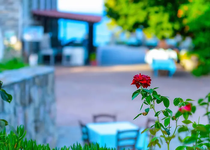 Szálloda Canvas By Mitsis Alexander The Great